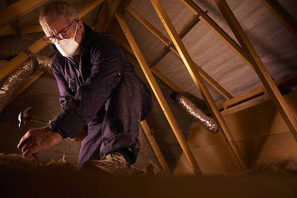 Best Specialized Insulation Services in Fairfax, VA